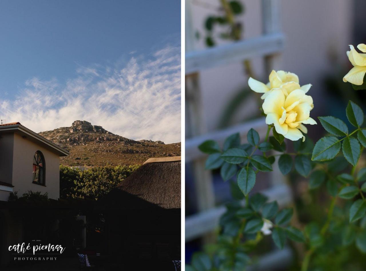 פיש הוק A Tuscan Villa Guest House מראה חיצוני תמונה